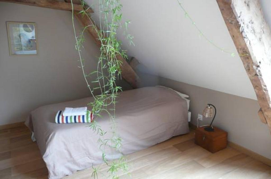 Chambre D'Hote La Maison Du Mesnil Saint-Hilaire-Petitville Esterno foto